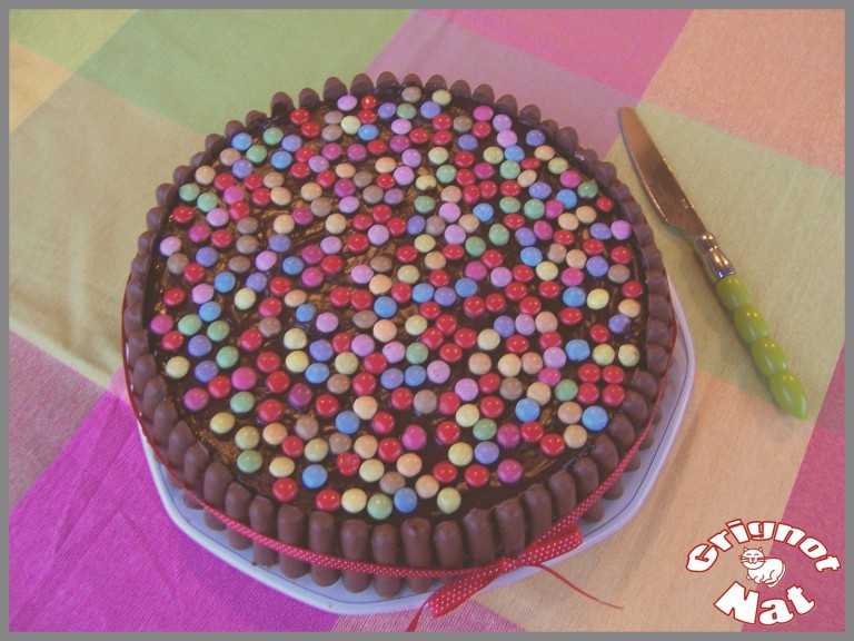 Gâteau d anniversaire aux fingers et aux smarties Grignot Nat